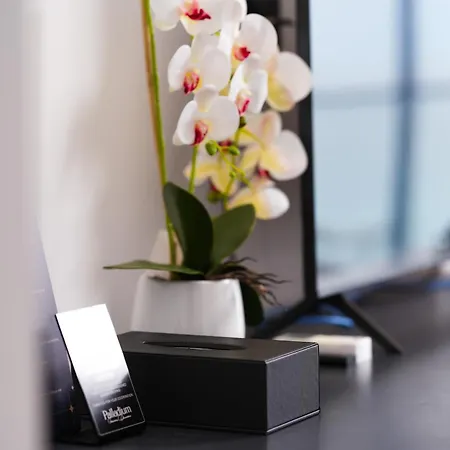 Palladium Resort- Luxury Leading Hotels, Private Included דרמי