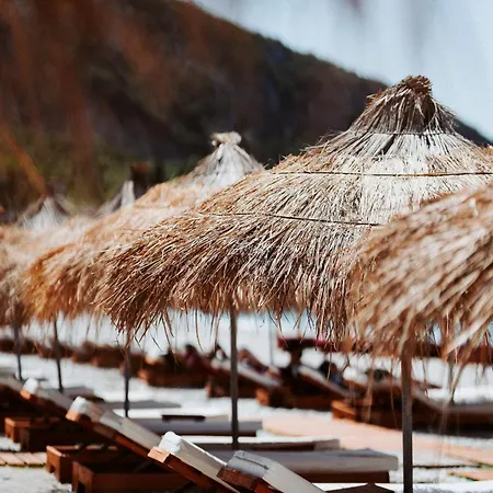 Affittacamere Palladium Hotel- Private Included